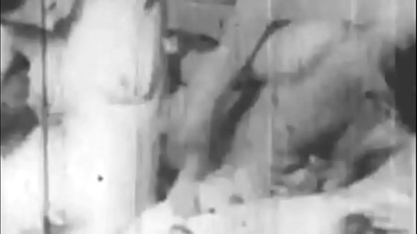 Dark LanternEntertainment presents 'Vintage Amateurs'