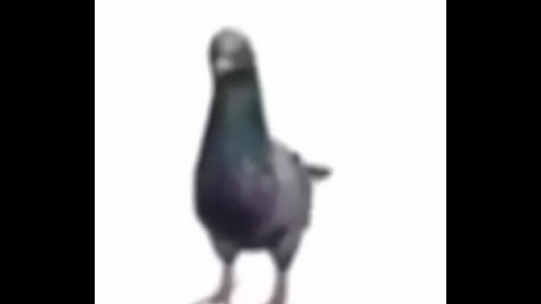 Nonton Wazaaaa thumbnail