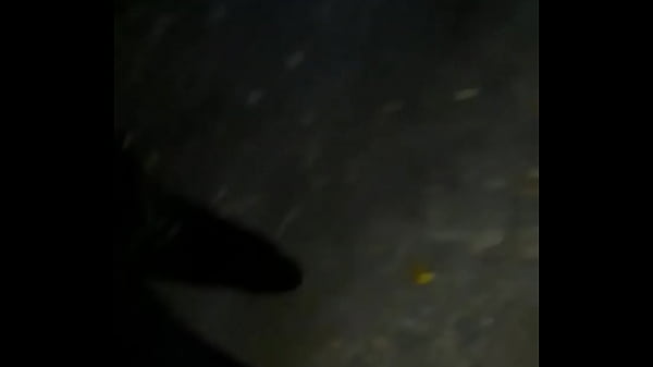 Videoclip verificare 