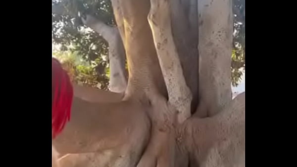 Nonton Dc The Don thumbnail