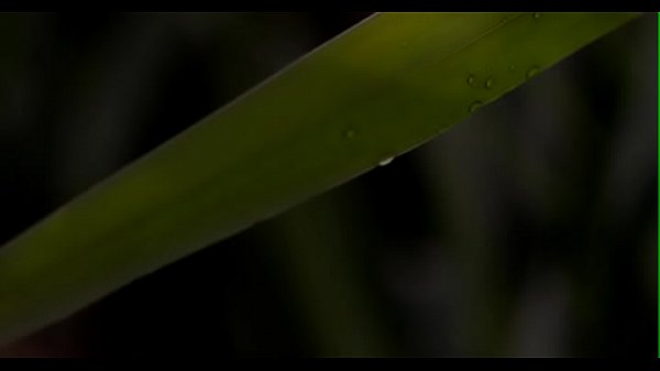 Nonton Savage Arse Stab With A Slut thumbnail