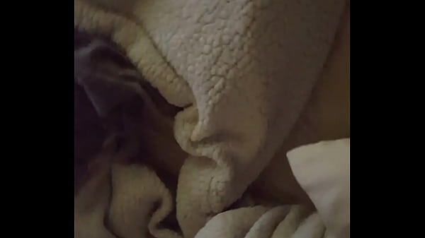 Fat Ass Doggie style 