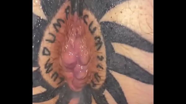 TAGGEDSLUT UK - BREEDING PIG 