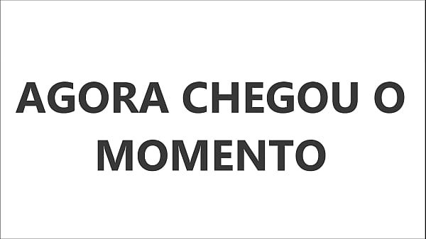 TOP DEZ OS MAIS GATOS DO ZAP 