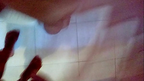 Gato invis&iacute_vel