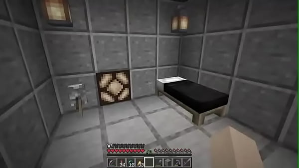 Casa Automática EP 300 Parte 2