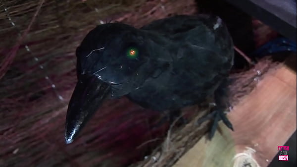 Nonton Wizard Has A Good Fuck thumbnail