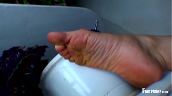 Play MP4 - Isobel Pointed Toes Bush