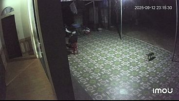 Video x&aacute;c minh   SEXBOKEP adalah Website Bokep Indonesia Terbaru dan Terlengkap Gratis dimana Anda dapat menonton streaming video bokep dan download vidio bokep terbaru yang sedang viral dengan aplikasi bokep android, Aplikasi bokep free download simontok app terbaru 2026 for PC Mobile Online dan HP     Contact Us   DMCA   Disclamer   Privacy and Policy   Conditions of Use  &copy; 2026 SEXBOKEP All rights reserved