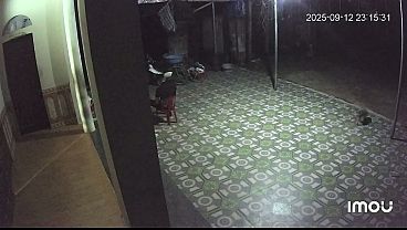 Video x&aacute;c minh 