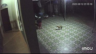 Nonton Video X&aacute;c Minh thumbnail