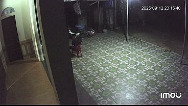 Video x&aacute;c minh 