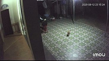 Nonton Video X&aacute;c Minh thumbnail