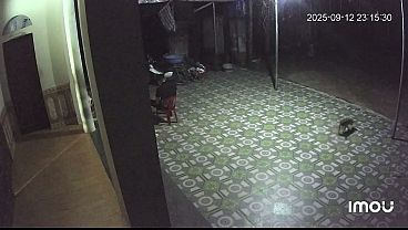 Video x&aacute_c minh