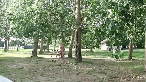 Play MP4 - promenade a poil sur une aire de repos du sudouest