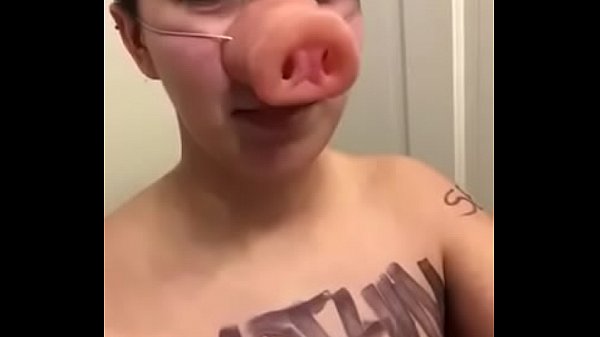 Pig BaileyWilder 