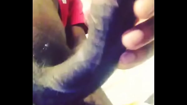 trim.8DD095E8-D786-4950-9154-4AD0DED2A93A.MOV 