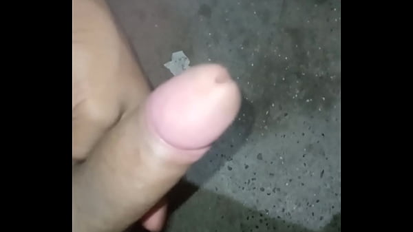 Disponible para complacerles