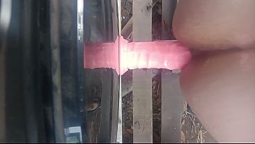 Gay de Pe&ntilde;aflor chile 