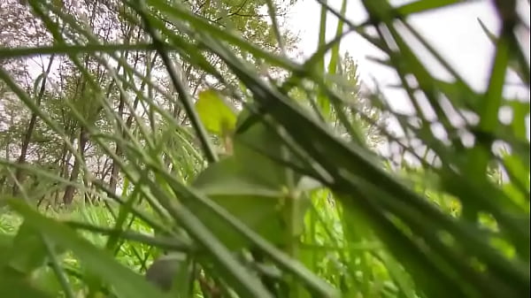 Nonton Came Across A Bug Man In My Yard Not Today #sizetwitter #giantess #giant #pov #mini #shruken thumbnail