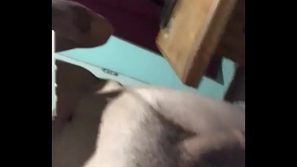 V&iacute_deo de verificaci&oacute_n
