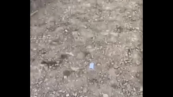 验证视频