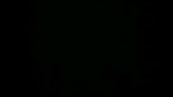 Nonton Vid 00001-20100215-0950.3gp thumbnail