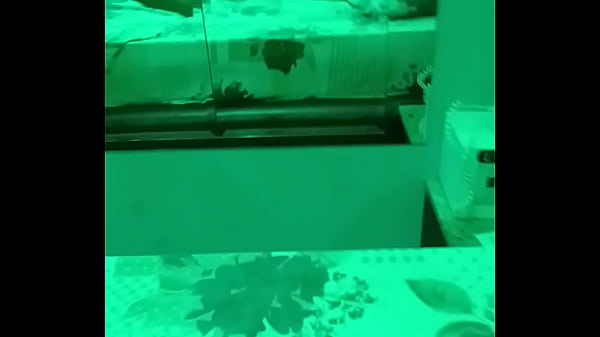 V&iacute;deo de verifica&ccedil;&atilde;o 