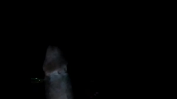 Nonton Pussy Needed thumbnail