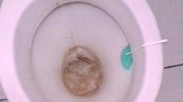 video-2014-05-01-17-05-23 