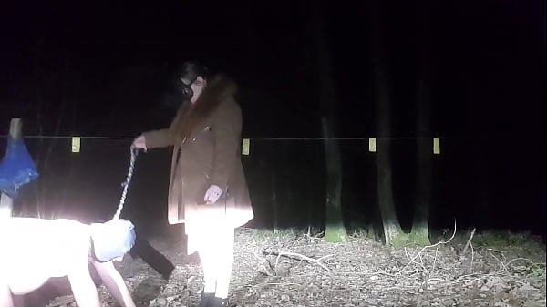 Play MP4 - Promenade hivernale dans les bois