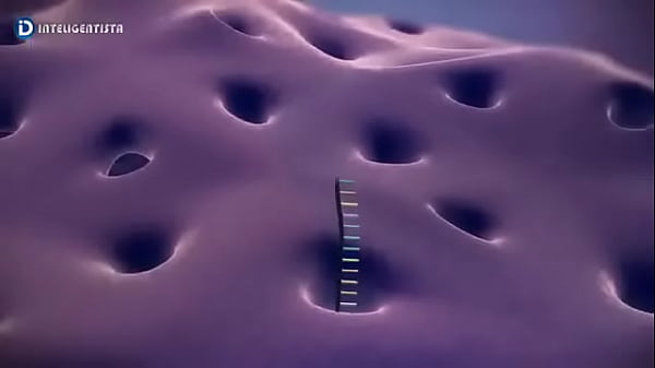 Ribamar comendo uma reticula endoplasmática bem safadinha