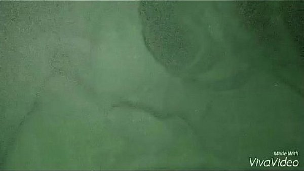 Nonton Well Trained Gf thumbnail