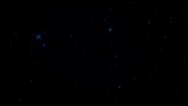 Maxim Petrovic vs Petr Pancek Submission Wrestle 