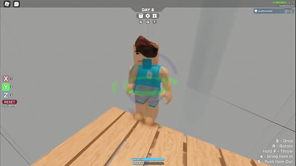 Pendejo robloxiano 