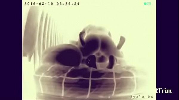 Caught girlfriend cheating_with best friend