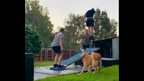 Verification video