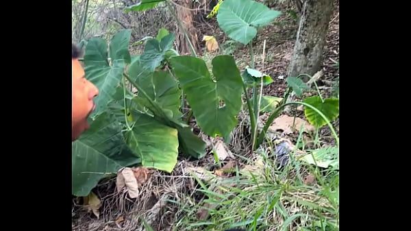 Putaria No Mato O Novinho thumbnail