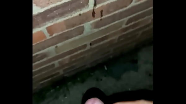 Play MP4 - outdoor cumshot