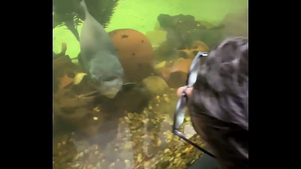 Nonton Brasil thumbnail