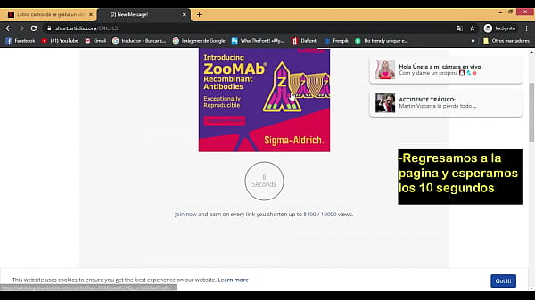 Descargar por mega