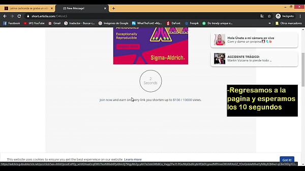 Descargar por mega