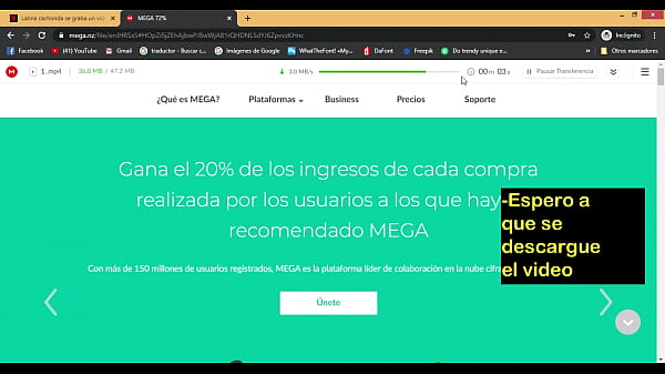 Descargar por mega
