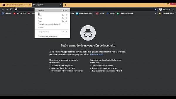 Descargar por mega