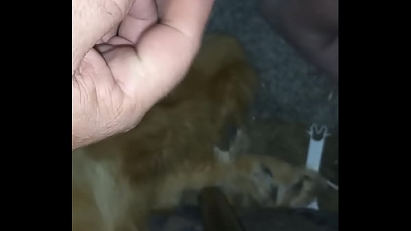 Play MP4 - Small dick