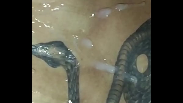 Play MP4 - Voc&ecirc; gosta de gozar junto com a trans&quest;&quest;  &lpar;v&iacute;deo completo&rpar; XvideosRed vers&atilde;o foda completa ate chegar nessa parte do leite