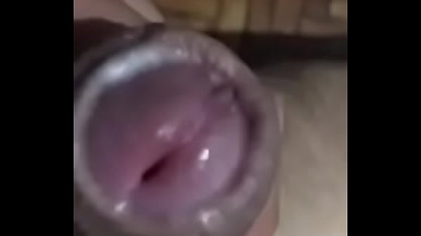 Cabe&ccedil_a da rola