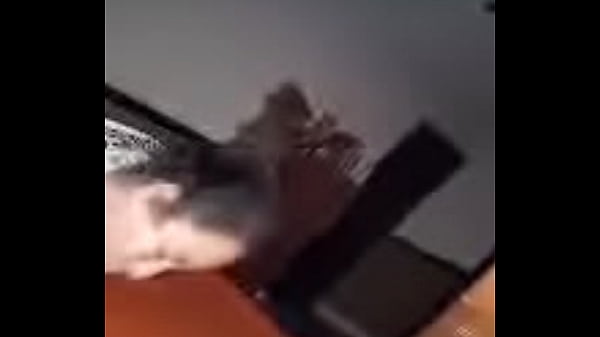 3D0B684D-6695-447E-A014-C415AE4E7F07.MOV 