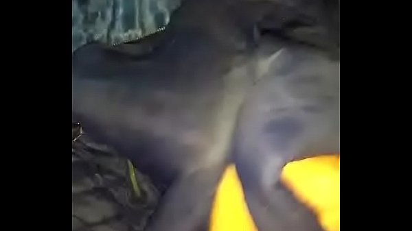 Play MP4 - Il mio povero giubbino