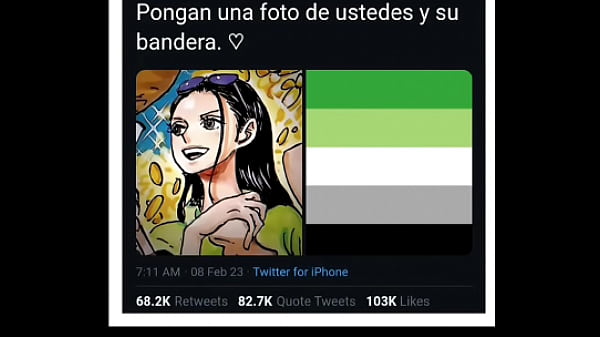 Primer v&iacute;deo en la red 